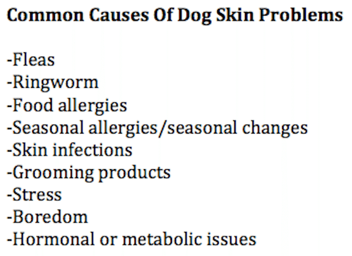 causes of dog skin problems