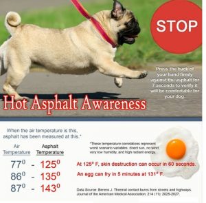 Hot-Asphalt-Awareness1