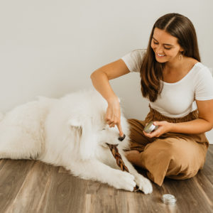 Samoyed dog chewing a Natural Dog Company Gnawer while his owner applies Snout Soother.