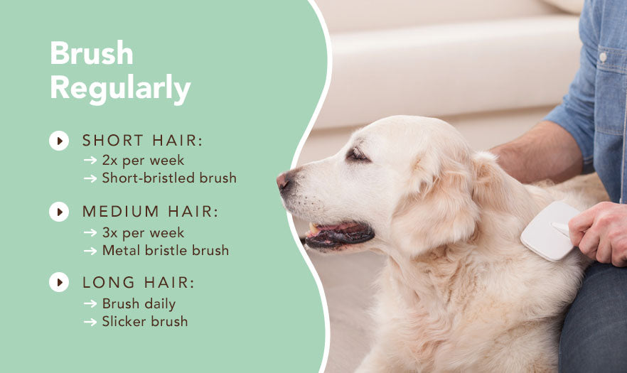 Brush regularly hair length