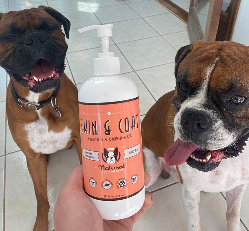 Two Boxer dogs with bottle of Skin & Coat Oil
